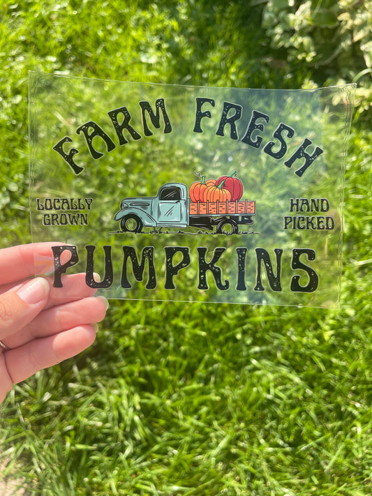 Farm Fresh Pumpkins